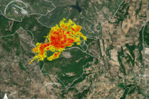 Φορέας Διαχείρισης Δάσους Δαδιάς: Η φωτιά επηρέασε και το απολιθωμένο δάσος της Λευκίμης