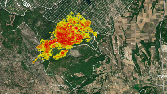 Φορέας Διαχείρισης Δάσους Δαδιάς: Η φωτιά επηρέασε και το απολιθωμένο δάσος της Λευκίμης