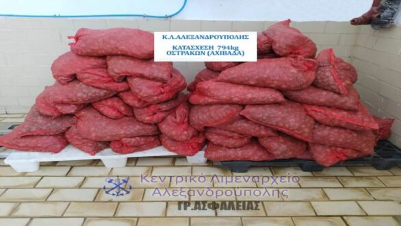 Σύλληψη πέντε ημεδαπών για από κοινού λαθρεμπορία οστράκων στην Αλεξανδρούπολη