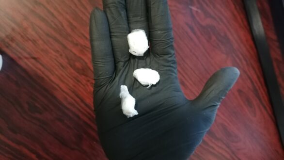 Συνελήφθη ημεδαπός σε βάροςτου οποίου σχηματίσθηκε δικογραφία για παράβαση του νόμου περί ναρκωτικών