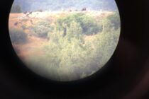 Ξεκινάει η ξενάγηση στο παρατηρητήριο αρπακτικών πουλιών του Εθνικού Πάρκου