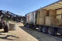 Συλλογή ζωοτροφών για τους πυρόπληκτους κτηνοτρόφους της Πελοποννήσου από την Αντιπεριφέρεια Δράμας