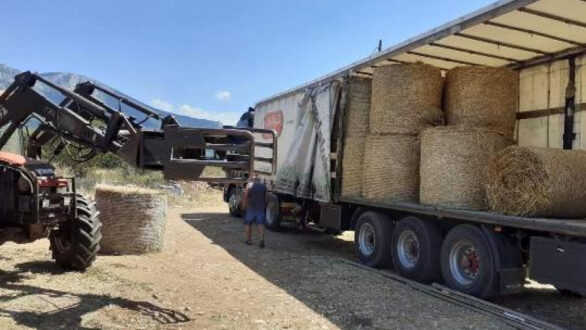 Συλλογή ζωοτροφών για τους πυρόπληκτους κτηνοτρόφους της Πελοποννήσου από την Αντιπεριφέρεια Δράμας