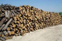 Ξεκινά η διάθεση καυσόξυλων από το Δασαρχείο Αλεξανδρούπολης και Σουφλίου