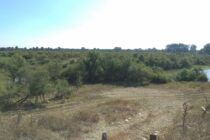 Ξεκίνησαν οι εργασίες για το έργο «Διαχείριση οικοτόπων στην πλημμυρίζουσα ζώνη του ποταμού Έβρου»