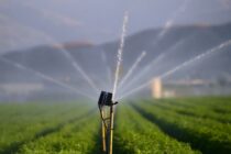 1.926.909,70€ τα χρέη των αγροτών προς το ΤΟΕΒ Φερών – Πέπλου