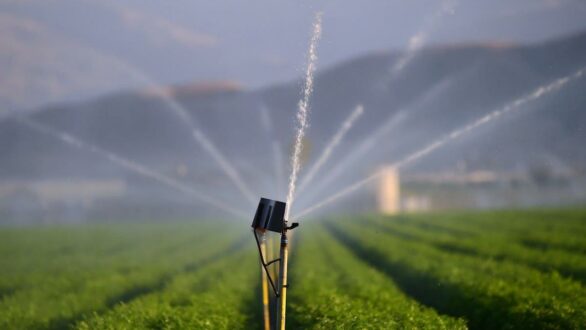 1.926.909,70€ τα χρέη των αγροτών προς το ΤΟΕΒ Φερών – Πέπλου