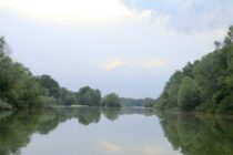 Έβρος: Ανησυχία για καταστροφικές πλημμύρες εξαιτίας της υλοτομίας