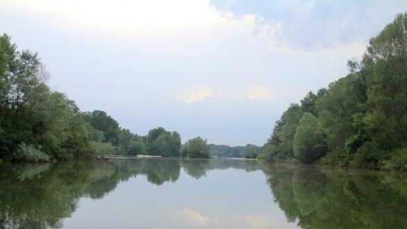 Έβρος: Ανησυχία για καταστροφικές πλημμύρες εξαιτίας της υλοτομίας