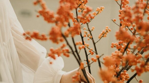 Φθινοπωρινή ισημερία και επίσημη έναρξη του φθινοπώρου