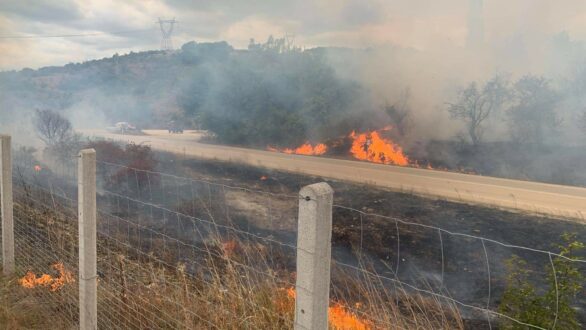 Φωτιά κοντά στο χωριό Αμόριο