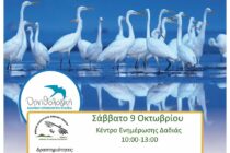 Ευρωπαϊκή Γιορτή των Πουλιών 2021 Δάσος της Δαδιάς