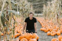 Κολοκύθα: Η υπερτροφή του Φθινοπώρου