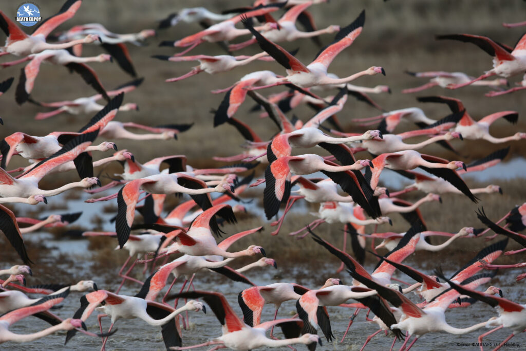 3 36η Διεθνή Έκθεση Τουρισμού "PHILOXENIA"