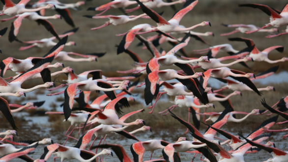 Ο Δήμος Αλεξανδρούπολης συμμετέχει στην 36η Διεθνή Έκθεση Τουρισμού “PHILOXENIA”