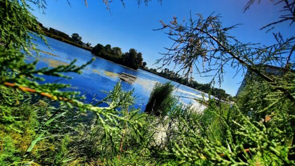 Οι νικητές του διαγωνισμού φωτογραφίας “Φωτογραφίζω φθινοπωρινά χρώματα στη Λίμνη Τυχερού”