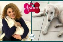 Η ηθοποιός Τάνια Τρύπη υιοθέτησε τη σκυλίτσα που βρέθηκε βιασμένη στην Αλεξανδρούπολη πριν λίγο καιρό