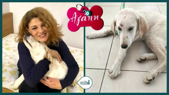 Η ηθοποιός Τάνια Τρύπη υιοθέτησε τη σκυλίτσα που βρέθηκε βιασμένη στην Αλεξανδρούπολη πριν λίγο καιρό