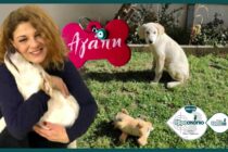 Η Τάνια Τρύπη στο Ράδιο Έβρος: “Μιλήστε. Αυτό το κτήνος δεν έχει όρια”