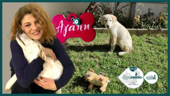 Η Τάνια Τρύπη στο Ράδιο Έβρος: “Μιλήστε. Αυτό το κτήνος δεν έχει όρια”