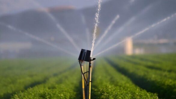 Προσλήψεις 77 ατόμων στον ΓΟΕΒ Ορεστιάδας