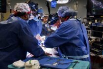 Ιστορικό ιατρικό επίτευγμα: Εγινε μεταμόσχευση καρδιάς χοίρου σε άνθρωπο