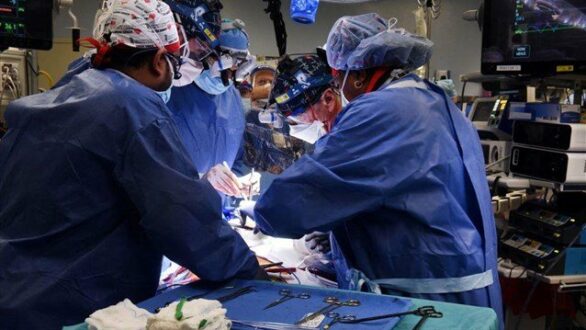 Ιστορικό ιατρικό επίτευγμα: Εγινε μεταμόσχευση καρδιάς χοίρου σε άνθρωπο
