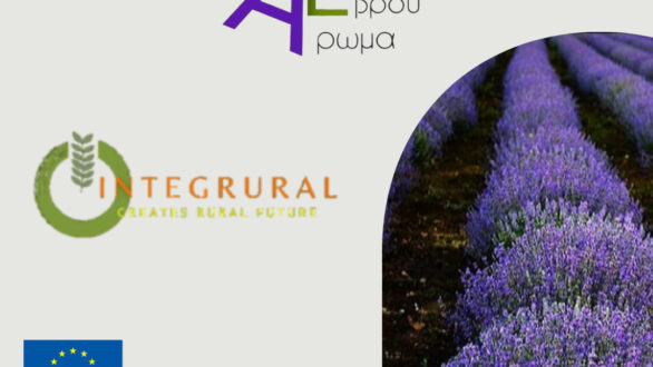 Το Άρωμα Έβρου εκπαιδεύει νέους επιχειρηματίες στην Ευρώπη