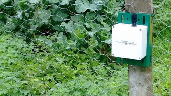 Δίκτυο μικροφώνων καταγράφει τους θορύβους στα δάση της Ροδόπης και του Έβρου