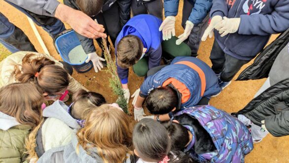 Δενδροφύτευση μαζί με τα παιδιά του 11ου Δημοτικού Σχολείου Αλεξανδρούπολης!