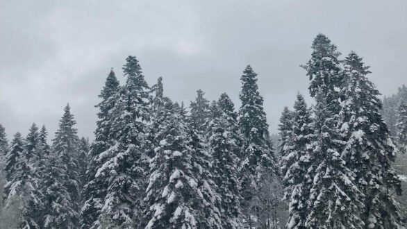 Έπεσαν τα πρώτα χιόνια της χρονιάς στα χιονοδρομικά κέντρα της Βόρειας Ελλάδας