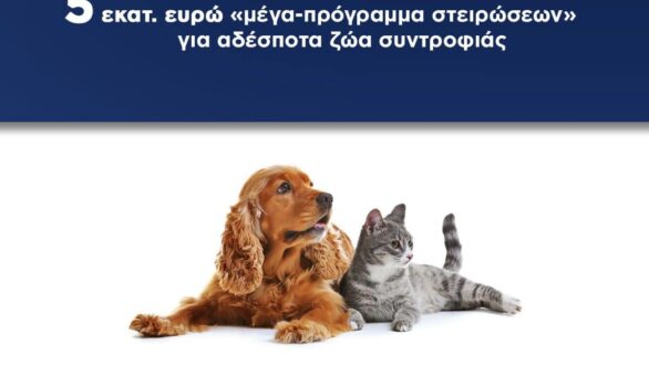 Μέγα-πρόγραμμα στειρώσεων για τα αδέσποτα ζώα συντροφιάς