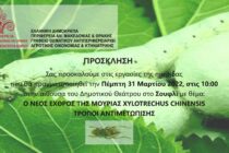 “Ο Νέος εχθρός της μουριάς Xylotrechus Chinensis -Τρόποι αντιμετώπισης”