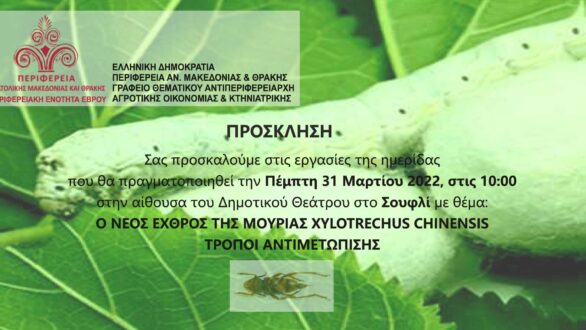“Ο Νέος εχθρός της μουριάς Xylotrechus Chinensis -Τρόποι αντιμετώπισης”