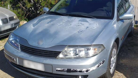 Συνελήφθησαν 3 διακινητές οι οποίοι προωθούσαν στη χώρα σε μη νόμιμους μετανάστες