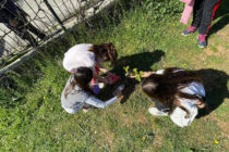 Αλεξανδρούπολη: Τις Παρασκευές δενδροφυτεύουμε!