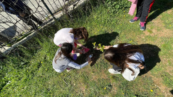 Αλεξανδρούπολη: Τις Παρασκευές δενδροφυτεύουμε!