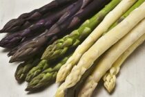 Ν. Γκαρά: «Η αδιαφορία της κυβέρνησης οδηγεί σε απόγνωση τους σπαραγγοπαραγωγούς του Έβρου»