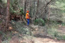 Δασικές Υπηρεσίες Έβρου: Υλοποίηση έργων αντιπυρικής προστασίας 1,43 εκ. €