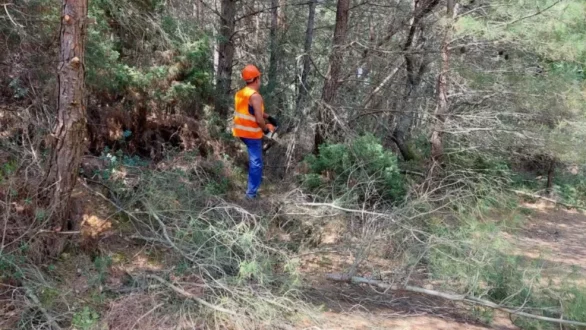 Δασικές Υπηρεσίες Έβρου: Υλοποίηση έργων αντιπυρικής προστασίας 1,43 εκ. €