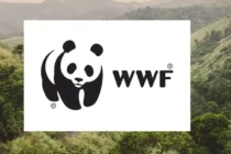 Ακόμα ένα περιστατικό δηλητηριασμένων δολωμάτων στον Ίασμο