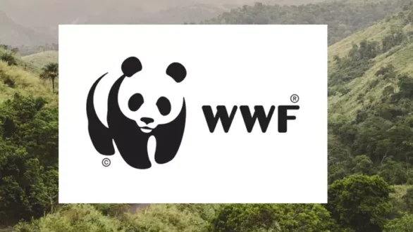 Ακόμα ένα περιστατικό δηλητηριασμένων δολωμάτων στον Ίασμο