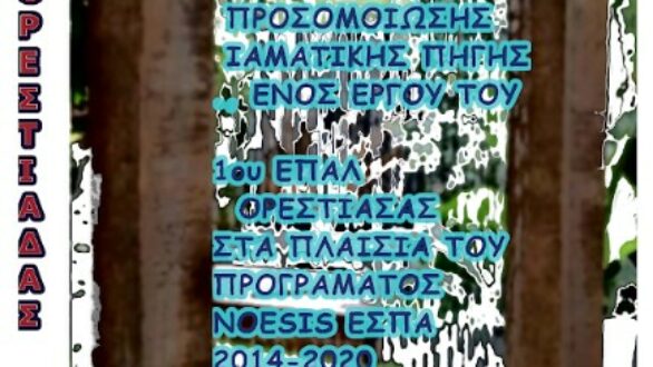 1ο ΕΠΑ.Λ Ορεστιάδας: Παρουσιάζει το Σχέδιο Δράσης Προσομοίωσης Ιαματικής Πηγής