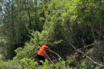 Σε εξέλιξη εργασίες καθαρισμού 60 δασικών περιοχών σε όλη τη χώρα