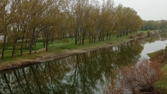 Ημερίδα στο Διδυμότειχο με θέμα : Η Άυλη Πολιτιστική Κληρονομιά της Θράκης