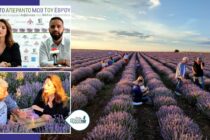 Α. Γκερέκου: Καλούμε όλους τους επενδυτές στον Έβρο – Αξιοποιήστε νέο ΕΣΠΑ, Ταμείο Ανάκαμψης, Αναπτυξιακό Νόμο