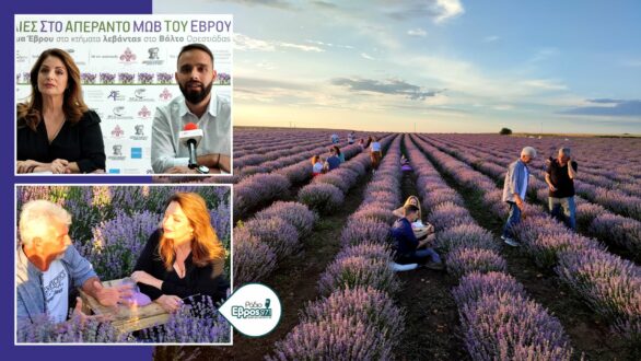 Α. Γκερέκου: Καλούμε όλους τους επενδυτές στον Έβρο – Αξιοποιήστε νέο ΕΣΠΑ, Ταμείο Ανάκαμψης, Αναπτυξιακό Νόμο