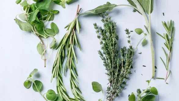 Πώς αποξηραίνουμε τα μυρωδικά;