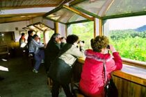 Την άρση των περιορισμών επισκέψεων στο Παρατηρητήριο αρπακτικών πουλιών στο Δάσος Δαδιάς ζητά ο Δήμαρχος Σουφλίου