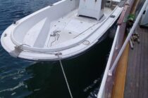 Αλεξανδρούπολη: Συνελήφθη με 400 κιλά αχιβάδες